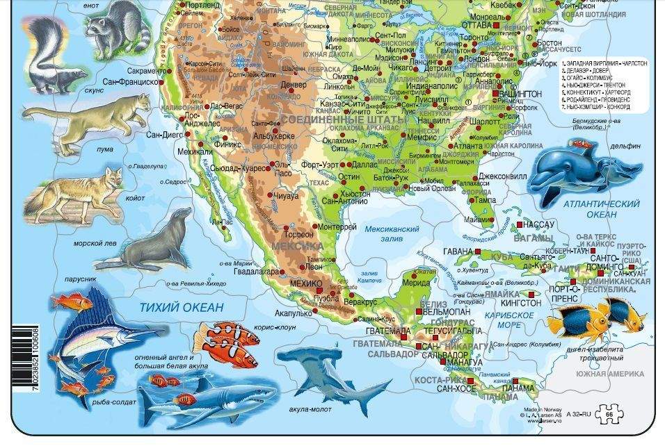 Животный мир материка северная америка. Карта Северной Америки с животными. Животный мир Северной Америки на карте. Обитатели Северная Америка Континент.