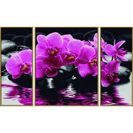  Триптих Орхидеи, 50х80 см, 1/6,  9260603, фото 1 