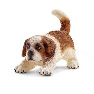  Сенбернар щенок, фото 1 