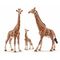  Жираф, самец, Schleich 14749, фото 1 