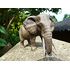  Африканский слон, самка, Schleich 14761, фото 2 