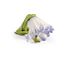  Аксессуары для Эльфов, Schleich 42186, фото 3 