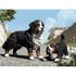  Дом животные. Бернский Зенненхунд щенок, Schleich 16398, фото 2 