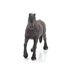  Фризская лошадь, фото 2 
