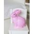  Ночник детский EGMONT Кролик, розовый, 25 см, 360312PI, фото 2 