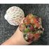  Жмяка 1toy Мелкие пакости, шар, с шариками, в сетке, Т13525, фото 2 