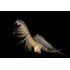  Детский аквариум Dragon-i Toys Sea-Monkeys, Приключения на Марсе, ракообразные вида Artemia Salina, 50 икринок, Т13628, фото 3 
