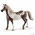  Детская фигурка Schleich Мерин Пейнтхорс, 13885, фото 1 