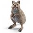  Детская фигурка Schleich Короткохвостый кенгуру, 14823, фото 1 